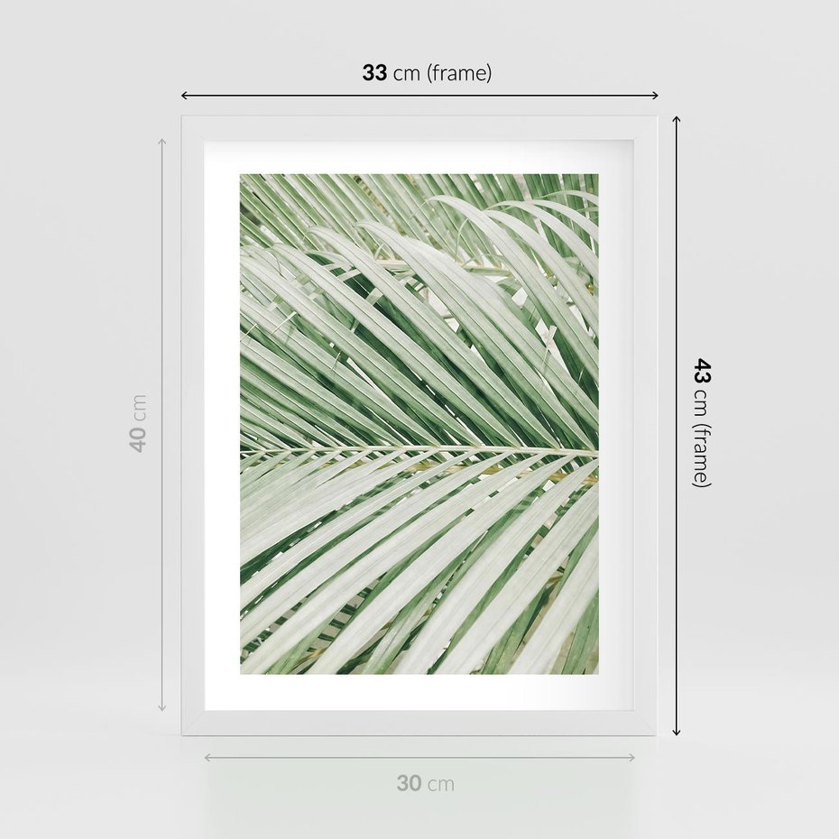 Plakat w ramie 30x40 - Liście Palmy: Egzotyczna Grafika - palma, liście palmy - rama biała