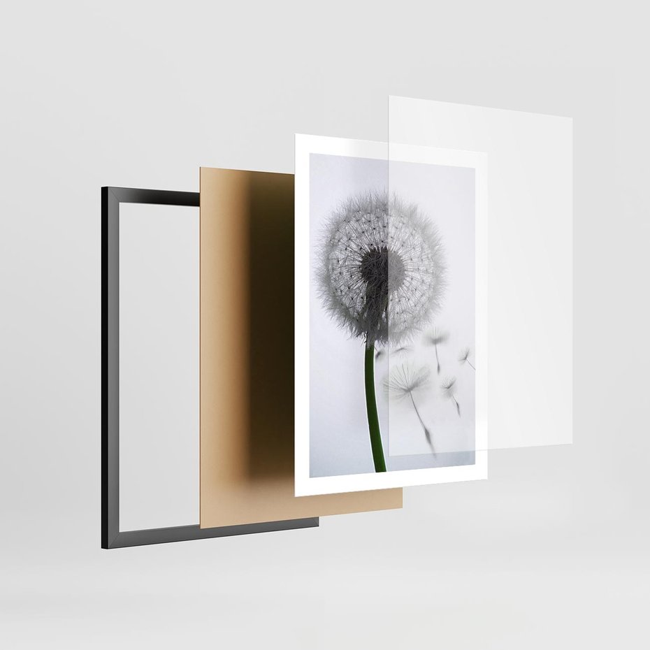 Plakat w ramie 50x70 - Lekkość Przemijania - dmuchawiec, makro - rama czarna