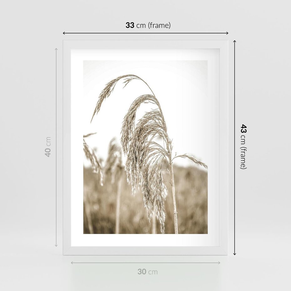 Plakat w ramie 30x40 - Ujęcie Suchych Traw - suche trawy, zbliżenie - rama biała