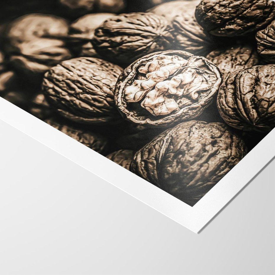 Plakat bez ramy 50x70 - Orzechy Włoskie w Sepii - orzechy włoskie, fotografia retro