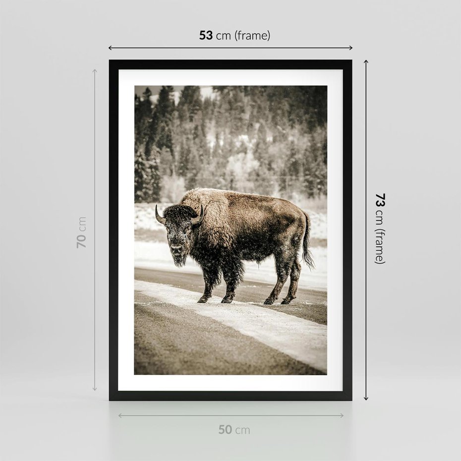 Plakat w ramie 50x70 - Spotkanie z Żubrem na Leśnej Drodze - żubr, las - rama czarna