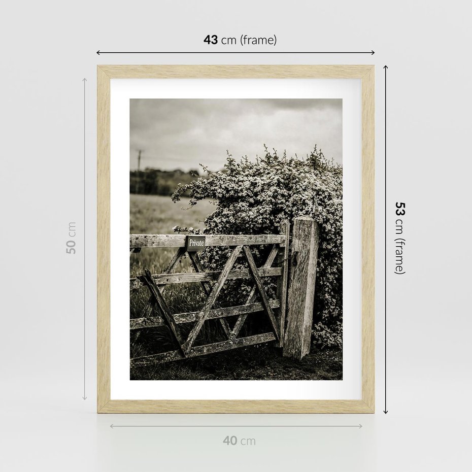 Plakat w ramie 40x50 - Wiejski Urok: Stary Płot i Kwitnący Krzew - rustykalne zdjęcie, stary płot - rama drewno