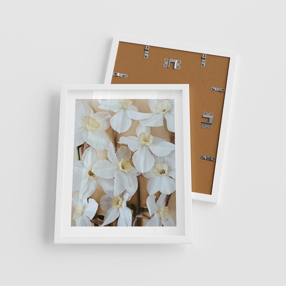 Plakat w ramie 40x50 - Białe Narcyzy - narcyzy, kwiaty - rama biała