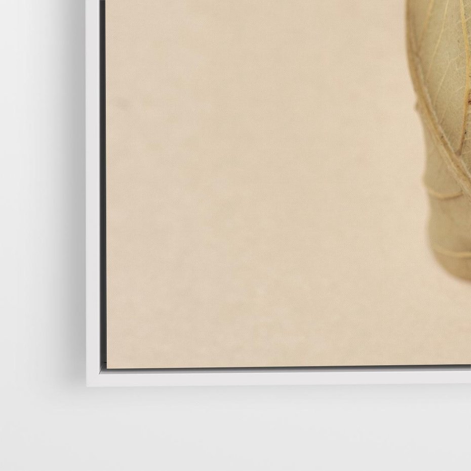 Obraz w ramie 80x80 - Boho suszone liście - suszony, liść - rama biała