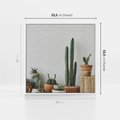 Obraz w ramie 50x50 - Naturalna Harmonia - kaktusy, liście - rama biała