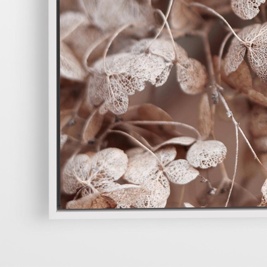 Obraz w ramie 120x80 - Przemijająca Piękność - fotografia, zbliżenie - rama biała