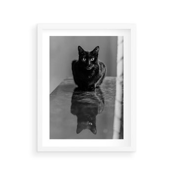 Plakat w ramie 50x70 - Kocie Oczy - kot, czarno białe zdjęcie - rama biała