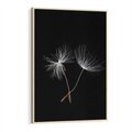 Obraz w ramie 50x70 - Delikatność Wiatru - dmuchawce, makro - rama drewno