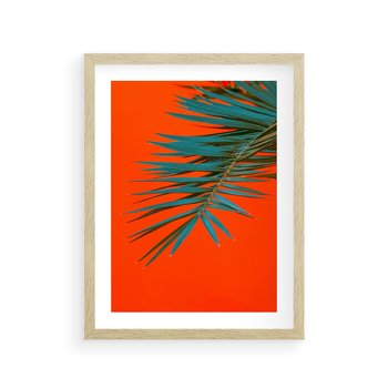 Plakat w ramie 50x70 - Egzotyczny Urok - liście, palma - rama drewno
