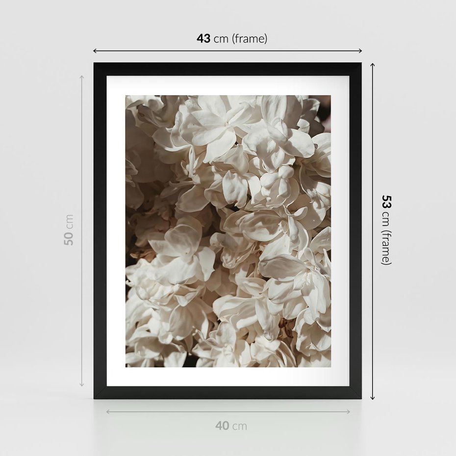 Plakat w ramie 40x50 - Płatki w Detalu - białe kwiaty, zbliżenie - rama czarna
