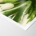 Plakat bez ramy 21x30 - Białe Piękno - białe, tulipany
