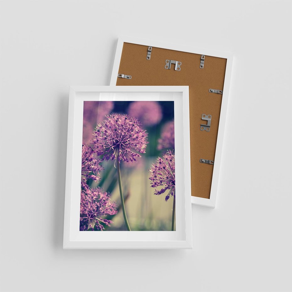 Plakat w ramie 30x40 - Kwiatowa łąka w pełnym rozkwicie - kwiaty, łąka - rama biała