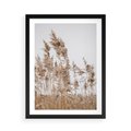 Plakat w ramie 50x70 - Boho Urok - trawy, pampas - rama czarna