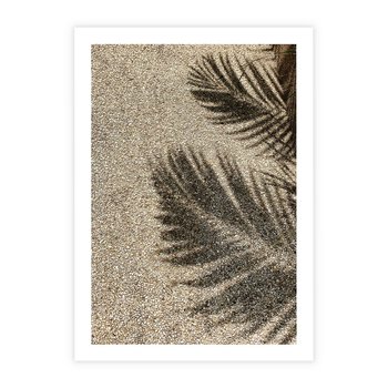 Plakat bez ramy 40x50 - Plażowa Idylla - palma, cień na piasku