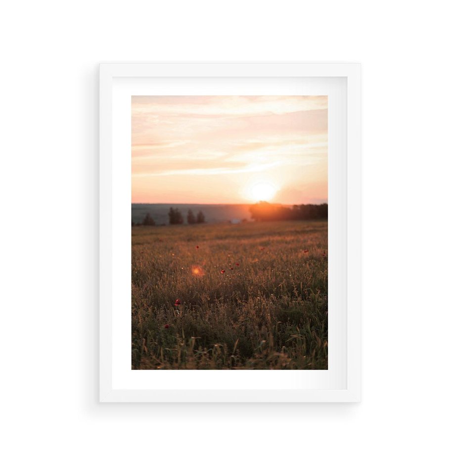 Plakat w ramie 30x40 - Łąka we Wschodzącym Słońcu: Magia Poranka - łąka, krajobraz - rama biała