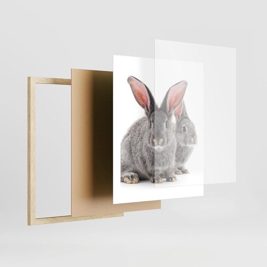 Plakat w ramie 40x50 - Uroczy królik wśród natury - królik, zając - rama drewno