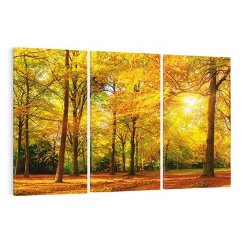 Obraz na płótnie 120x80 - Urok jesiennego lasu - las, drzewa