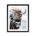 Plakat w ramie 40x50 - Żubr w Krainie Śniegu - żubr, zima - rama czarna