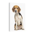 Obraz na płótnie 80x120 - Wierność i radość - pies, piesek