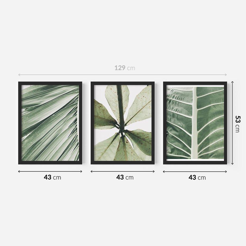 Zestaw obrazy w ramie 40x50 galeria - Liście, minimalizm, zieleń - rama czarna