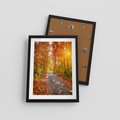 Plakat w ramie 30x40 - Kolorowe drzewa na ścieżce jesieni - las, jesień - rama czarna