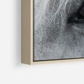 Obraz w ramie 100x70 - Oko Mocy - czarno białe zdjęcie, zbliżenie makro na oko konia - rama drewno
