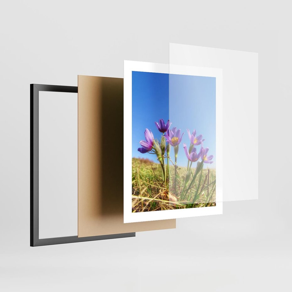 Plakat w ramie 40x50 - Kwiatowa siła łąki - kwiaty, łąka - rama czarna