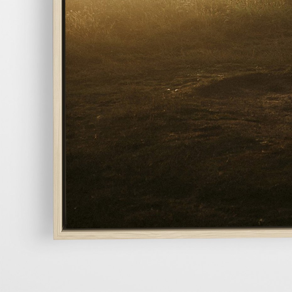 Obraz w ramie 80x120 - Mglisty zachód słońca na ławeczce - mgła, zachód - rama drewno