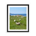 Plakat w ramie 40x50 - Górskie Owce - góry, owce - rama czarna
