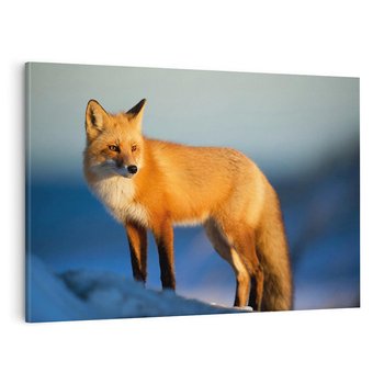 Obraz na płótnie 120x80 - Lisek w lesie - lis, lisek