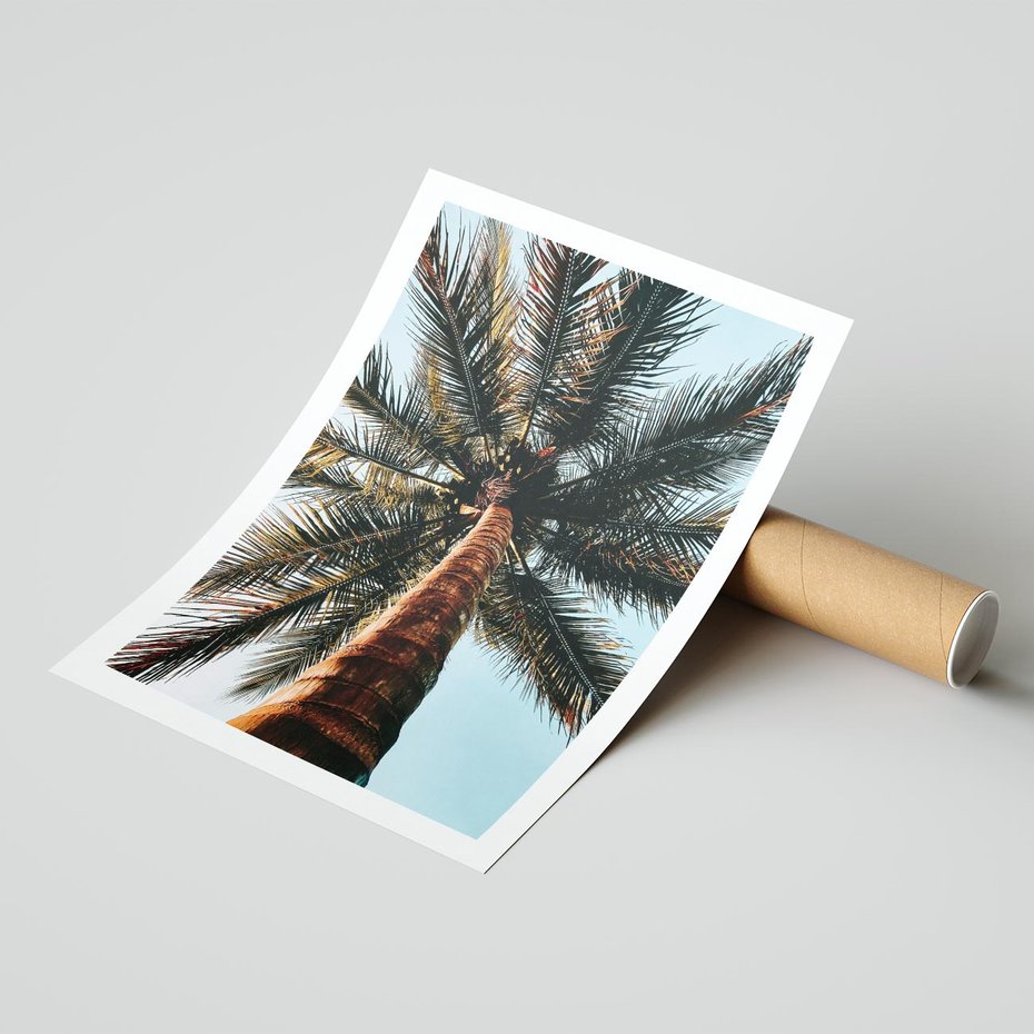 Plakat bez ramy 21x30 - Rajskie Inspiracje: Palma na Niebie - palma, na tle nieba