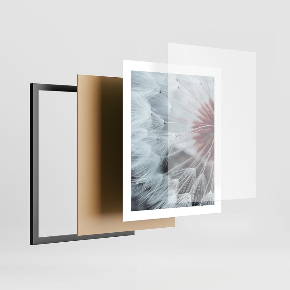 Plakat w ramie 40x50 - Makro Magii Natury - dmuchawiec, zbliżenie makro - rama czarna