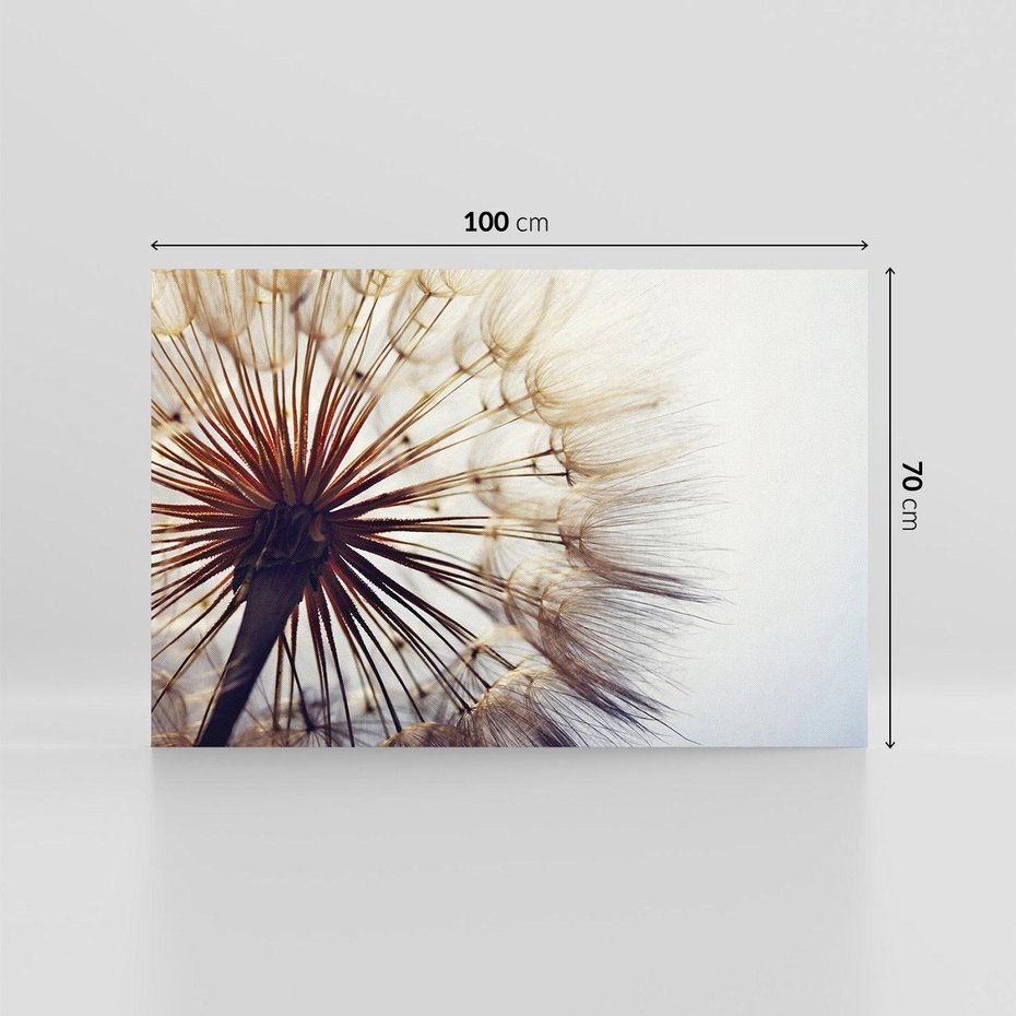 Obraz na płótnie 100x70 - Makro piękno dmuchawca - makro, dmuchawiec