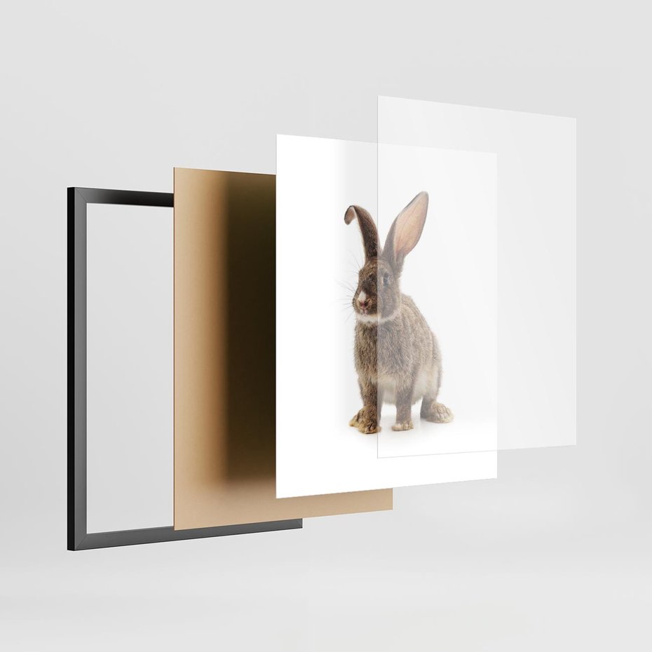 Plakat w ramie 40x50 - Delikatna Zwierzęca Uroda - królik, zwierzę - rama czarna