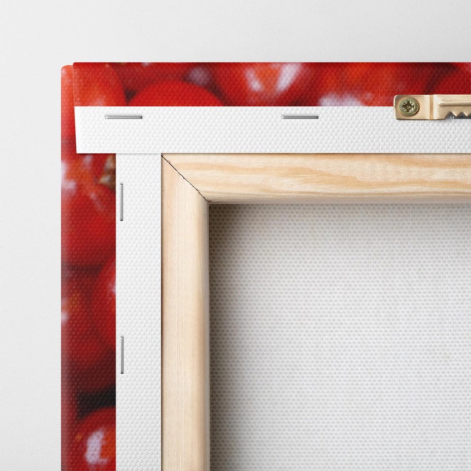 Obraz na płótnie 80x80 - Pożeczka - Czerwony Skarb - pożeczka, owoc