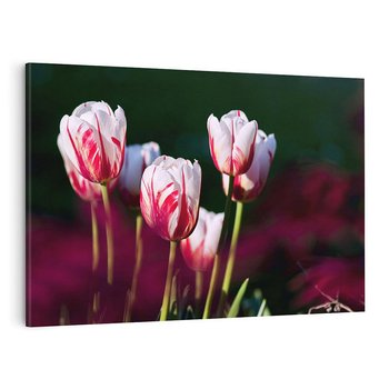 Obraz na płótnie 120x80 - Kwiatowy raj w naturze - kwiat, kwiaty