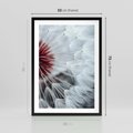 Plakat w ramie 50x70 - Makro świat dmuchawca - dmuchawiec, makro - rama czarna