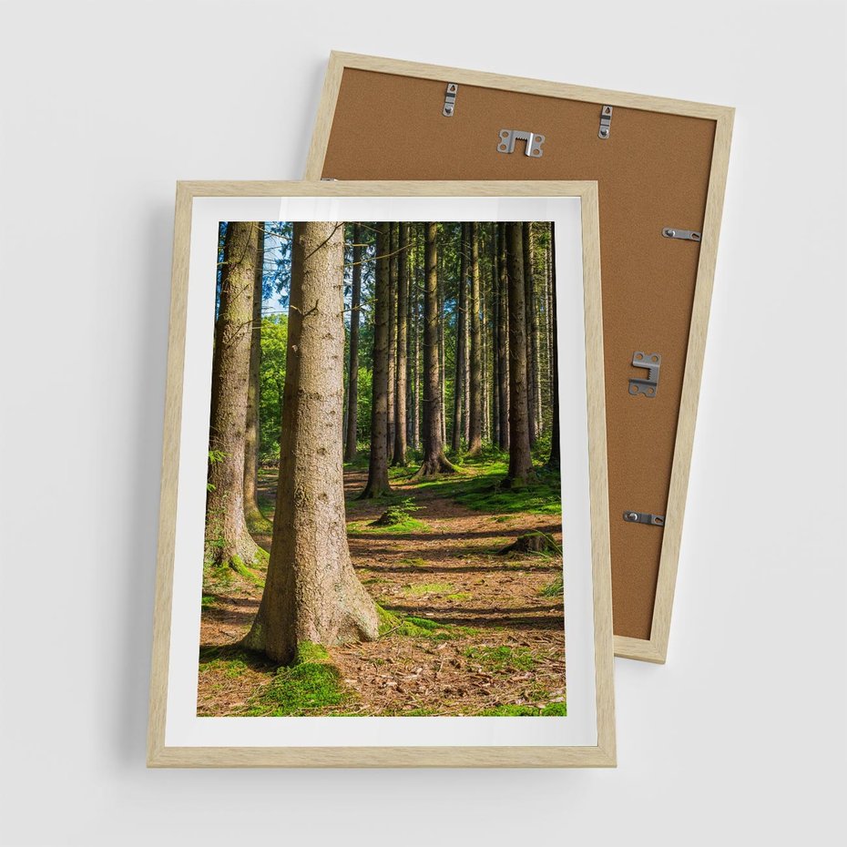 Plakat w ramie 50x70 - Las: harmonia natury - las, drzewa - rama drewno