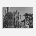 Obraz w ramie 100x70 - Pustynny Klimat - czarno białe zdjecie, pustynia - rama biała
