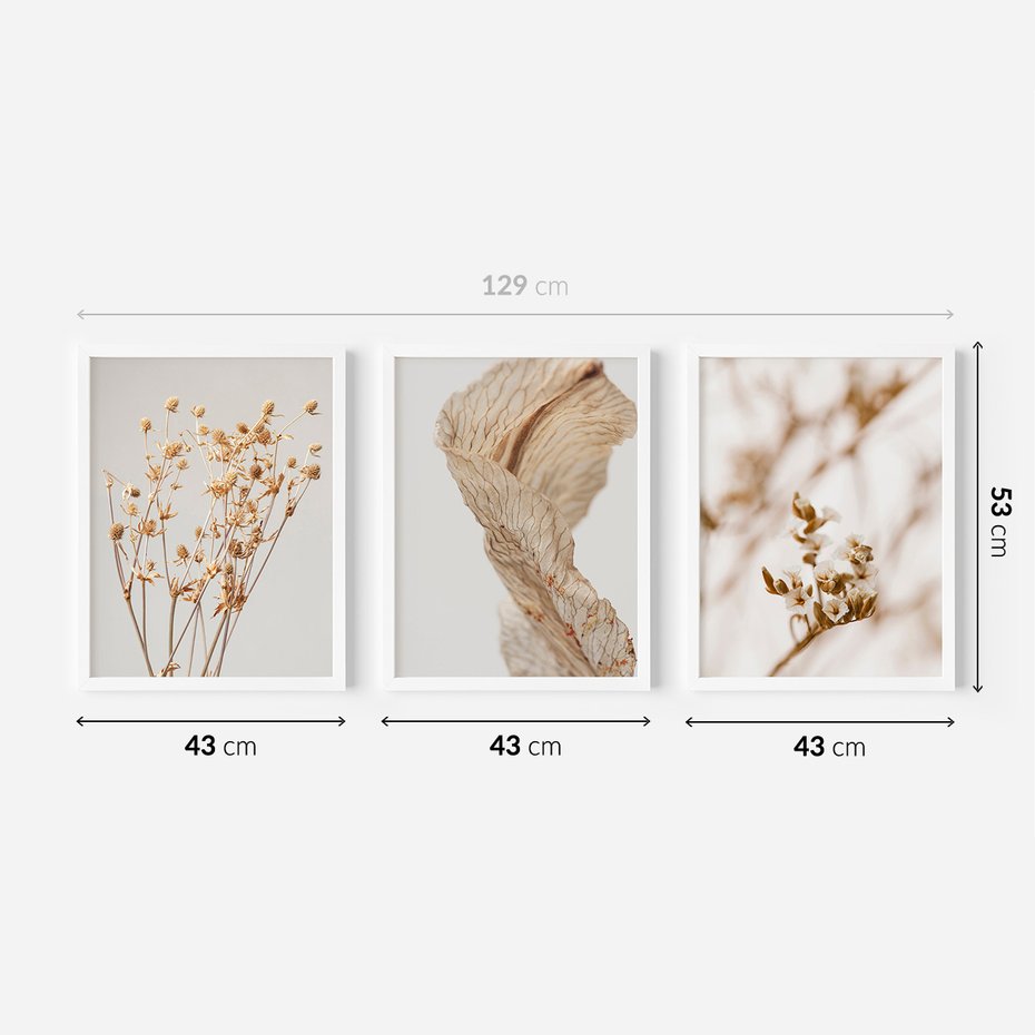 Zestaw obrazy w ramie 40x50 galeria - Suche, kwiaty, pampas, trawy, boho - rama biała