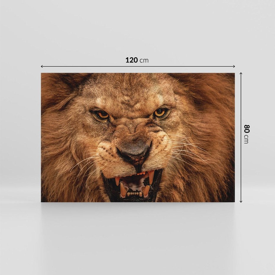 Obraz na płótnie 120x80 - Władca Sawanny - lew, sawanna