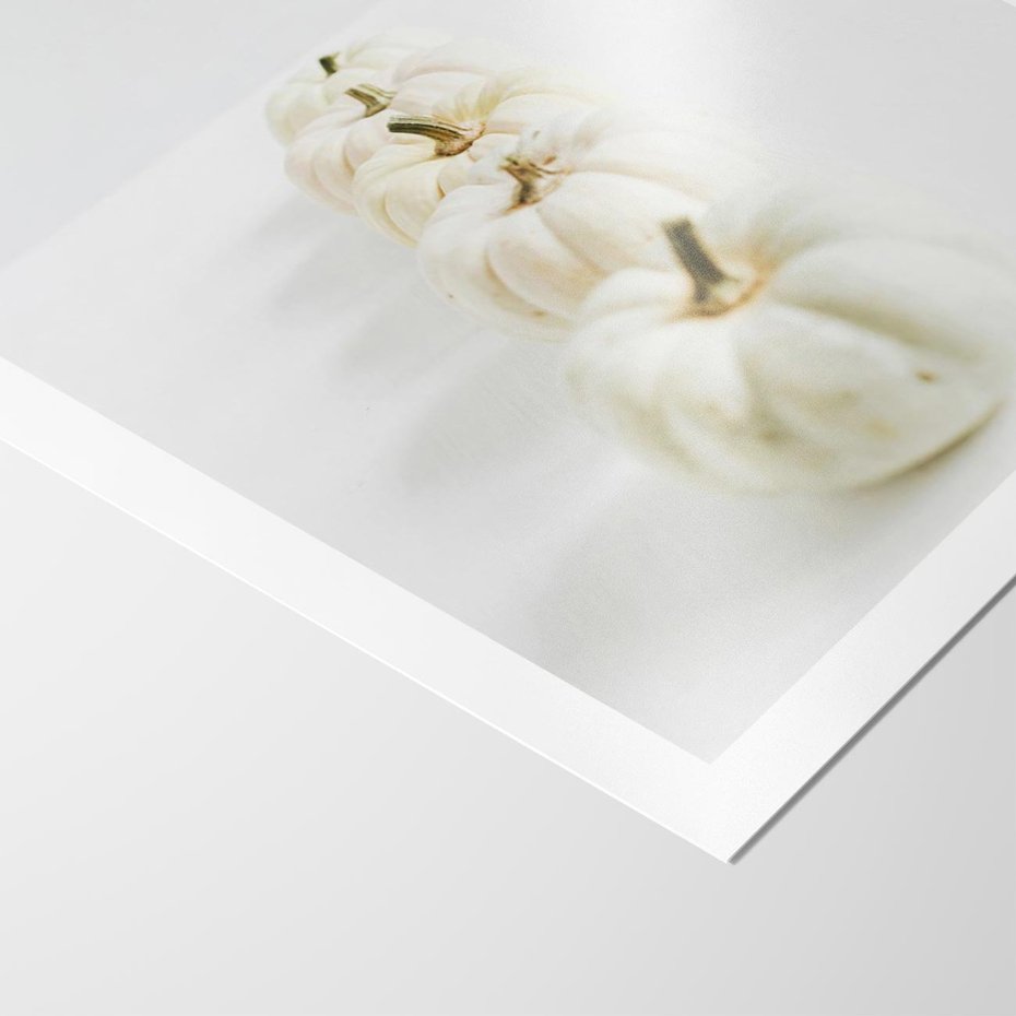 Plakat bez ramy 21x30 - Białe Dynie - białe dynie, jesień