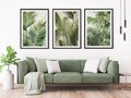 Zestaw obrazy w ramie 50x70 galeria - tropikalne, liście, palmy, bananowiec - rama czarna