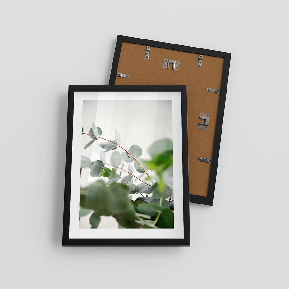 Plakat w ramie 30x40 - Zielony Świat Eukaliptusa - eukaliptus, fotografia - rama czarna