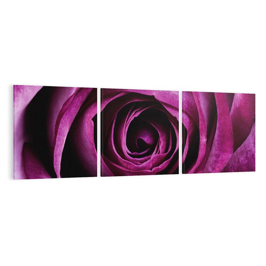 Obraz na płótnie 120x40 - piękno w delikatności - róża, kwiat