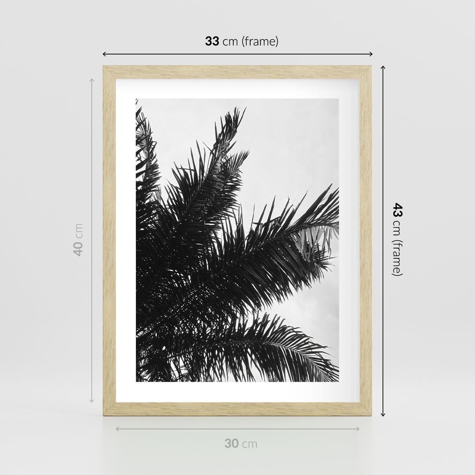 Plakat w ramie 30x40 - Czas Zapomnienia - palmy, czarno biała fotografia - rama drewno