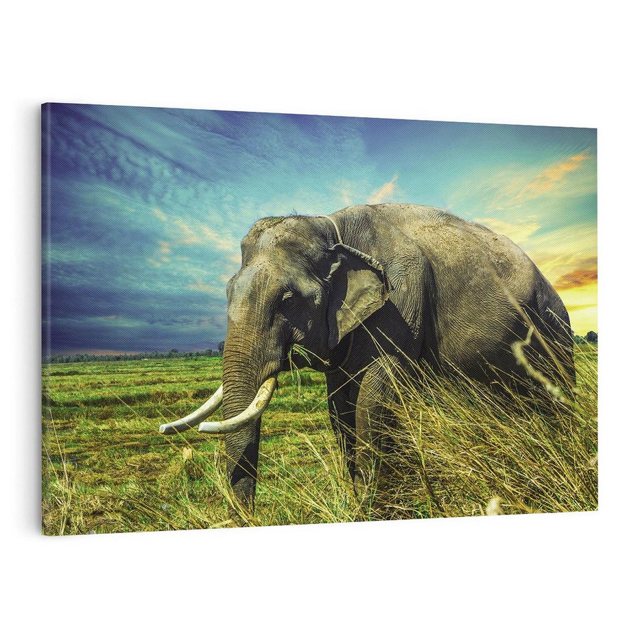 Obraz na płótnie 120x80 - Słoń w sawannie: Spotkanie z dziką przyrodą - słoń, sawanna