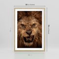 Plakat w ramie 50x70 - Władca Sawanny - lew, sawanna - rama drewno