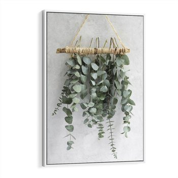 Obraz w ramie 70x100 - Uwodzicielska zieleń eukaliptusa - eukaliptus, zielone - rama biała