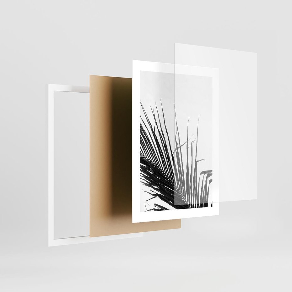 Plakat w ramie 30x40 - Sztuka Natury: Monochromatyczna Palma - palma, czarno białe zdjęcie - rama biała